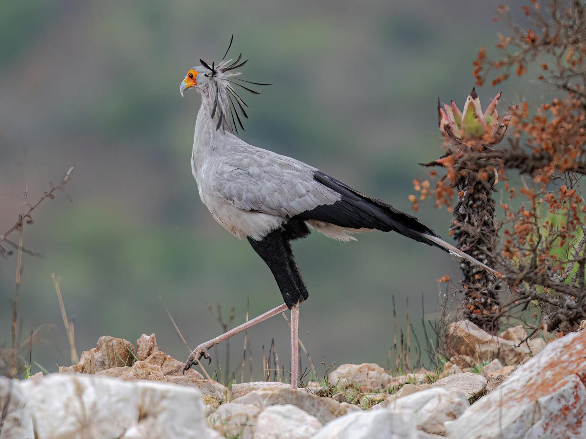 Zulu Rock Lodge - Babanango Game Reserve Ulundi Ngoại thất bức ảnh