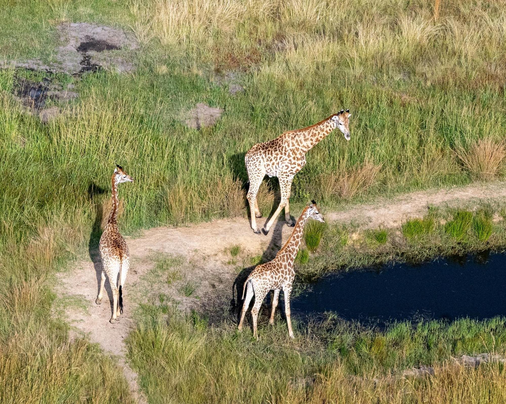 Zulu Rock Lodge - Babanango Game Reserve Ulundi Ngoại thất bức ảnh